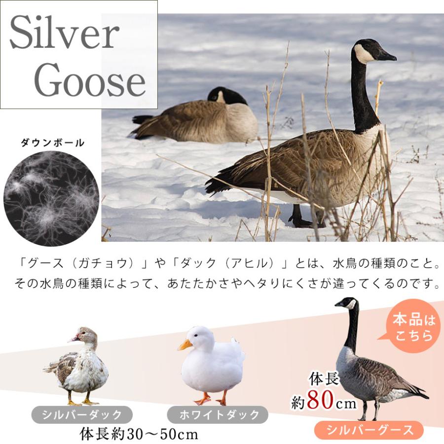 昭和西川 羽毛布団 昭和 西川 ハンガリー産シルバーグースダウン 昭和西川 羽毛布団 昭和 西川 ハンガリー産シルバーグースダウン