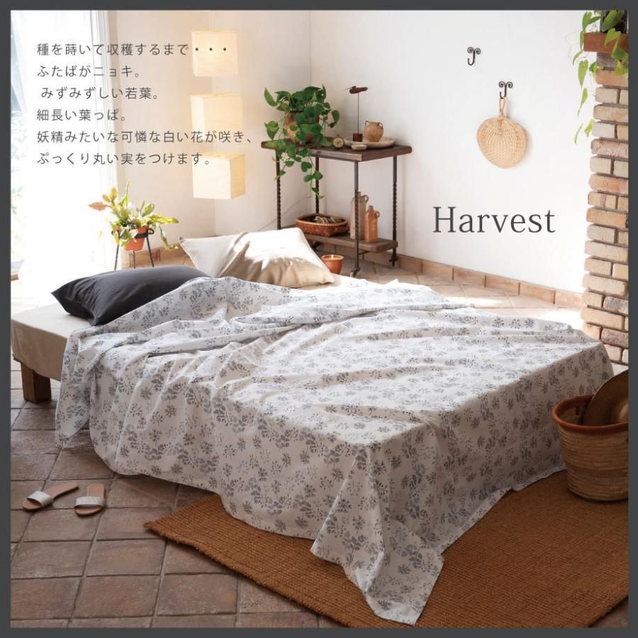 じぶんまくら マルチカバー ソファカバー L 綿100% Harvest ハーベスト