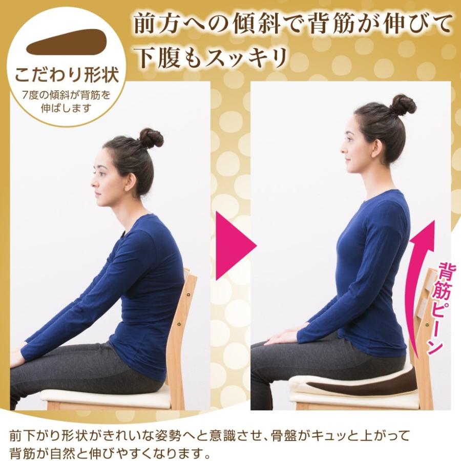 じぶんまくら 背筋キープ クッション 姿勢 矯正 低反発 ウレタン 骨盤