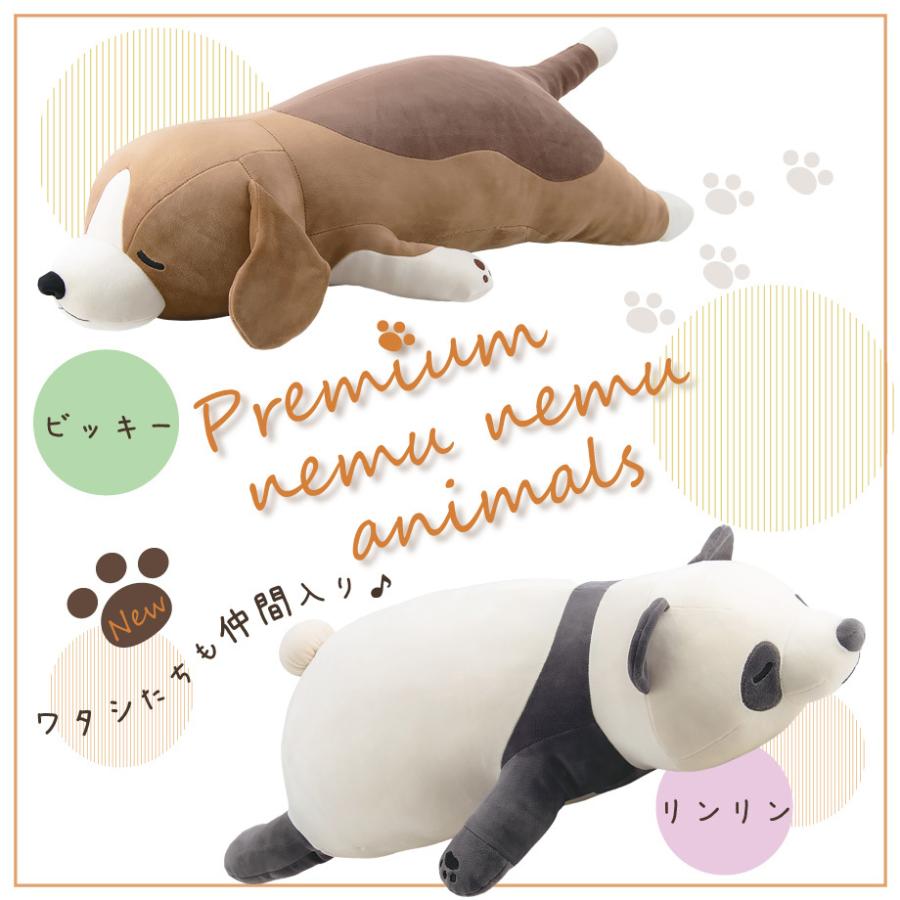 抱き枕 プレミアムねむねむアニマルズ Mサイズ ぬいぐるみ クッション プードル パンダ 猫 ゴールデンレトリバー オランウータン きつね 犬 シュナウザー ギフト 07 Ar 4991 S1 羽毛布団ならふとんタナカ じぶんまくらグループ 通販 Yahoo ショッピング