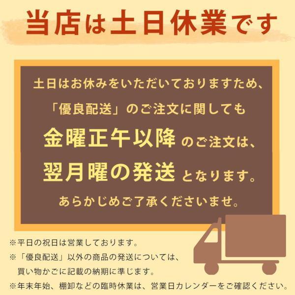 母の日 2024 おかえり園田くん 抱き枕 HUGぐるみ ハグ ぬいぐるみ 抱きまくら ギフト プレゼント ラッピング 猫 ネコ 犬 クッション｜futontanaka｜21