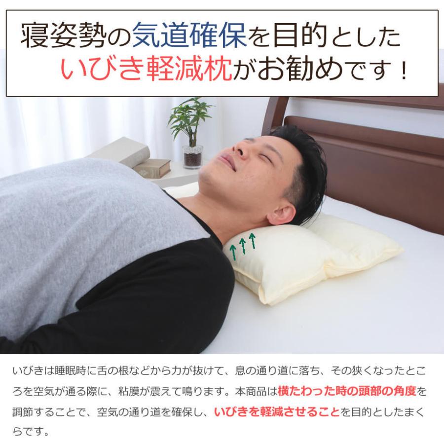 いびき軽減まくら 小さめ枕 約40×50cm 鼾対策 洗える ウォッシャブル 高さ調整 調節 パイプ 新生活応援 :09-al-2829-4993072511894:羽毛布団ならふとんタナカ・じぶんまくらグループ - 通販 - Yahoo!ショッピング いびき軽減まくら 小さめ枕 約40×50cm 鼾対策 洗える ウォッシャブル 高さ調整 調節 パイプ 新生活応援 :09-al-2829-4993072511894:羽毛布団ならふとんタナカ・じぶんまくらグループ - 通販 - Yahoo!ショッピング