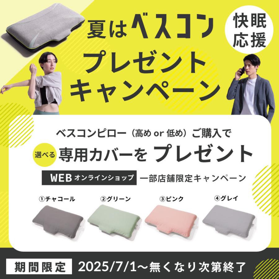 じぶんまくら＿専用袋付き じぶんまくら レギュラー 専用袋付き