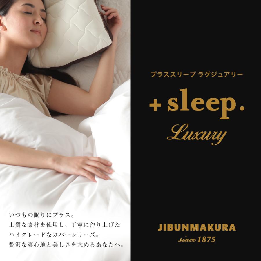 西川（nishikawa） 枕カバー 43×63cm ＋sleep. Luxury リヨセル 100