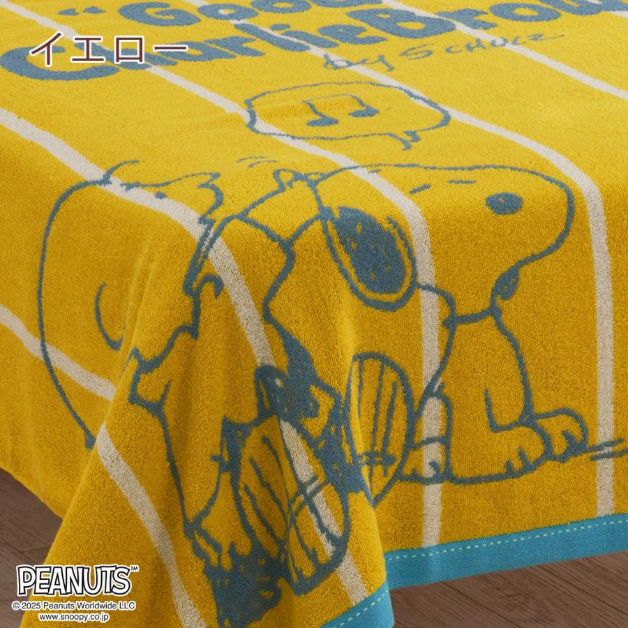 タオルケット シングル スヌーピー 西川 夏用 綿100% 西川リビング snoopy キャラクター 吸湿 | 西川 | 06