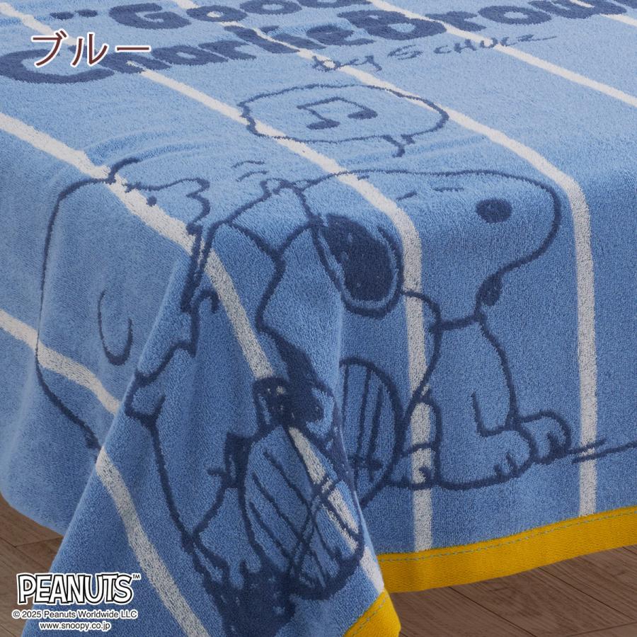 タオルケット シングル スヌーピー 西川 夏用 綿100% 西川リビング snoopy キャラクター 吸湿 | 西川 | 07