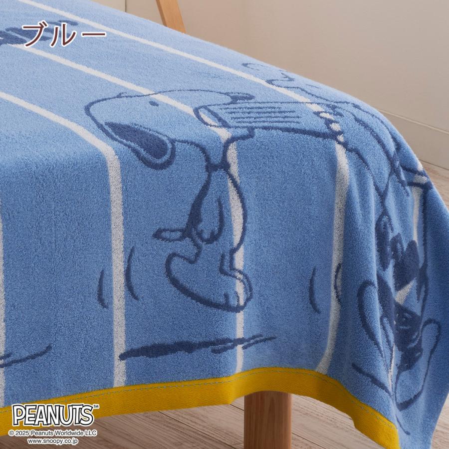タオルケット シングル スヌーピー 西川 夏用 綿100% 西川リビング snoopy キャラクター 吸湿 | 西川 | 09