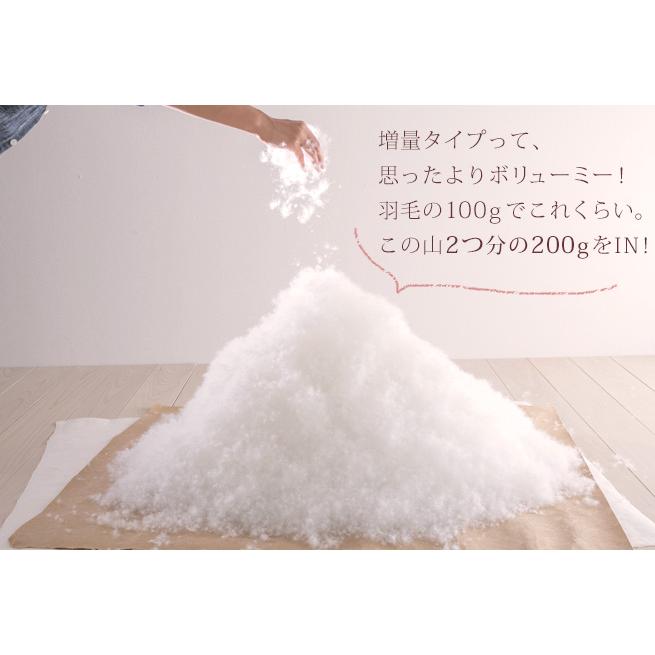 羽毛布団 シングル 厳選ダウン90% 超増量1.4kg 西川掛布団カバー特典付 抗菌 防臭 日本製 コインランドリー対応 冬用 | ロマンス小杉 | 01