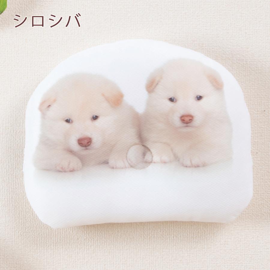 西川 ベビー枕 20×24cm すくすくピロー 日本製 ベビーピロー 西川リビング 洗える ベビー用まくら リラックマ くまのがっこう スヌーピー | 西川 | 03