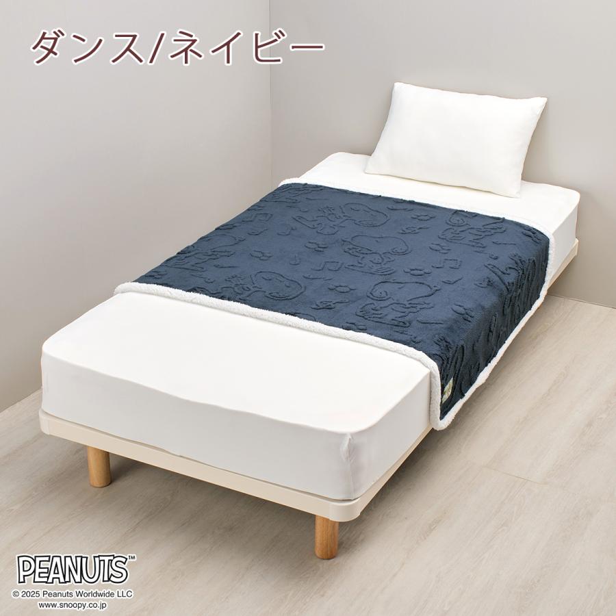 西川（nishikawa） 毛布 ハーフ お昼寝 140×100cm 軽量 ハーフケット