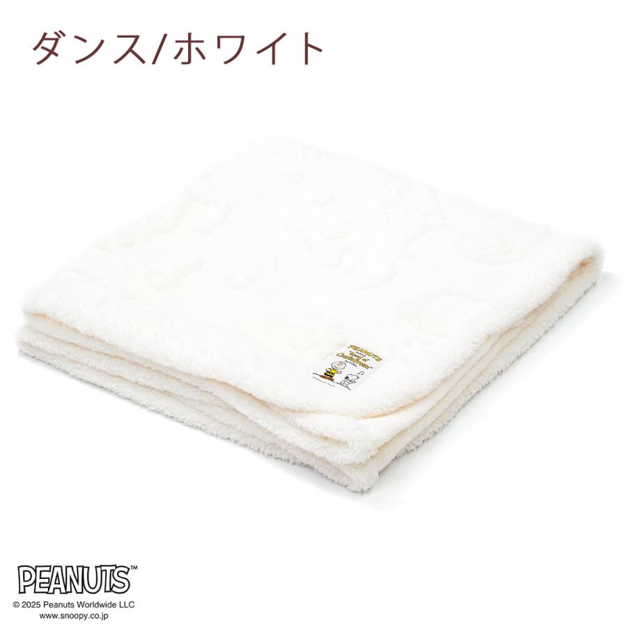 西川（nishikawa） 毛布 ハーフ お昼寝 140×100cm 軽量 ハーフケット