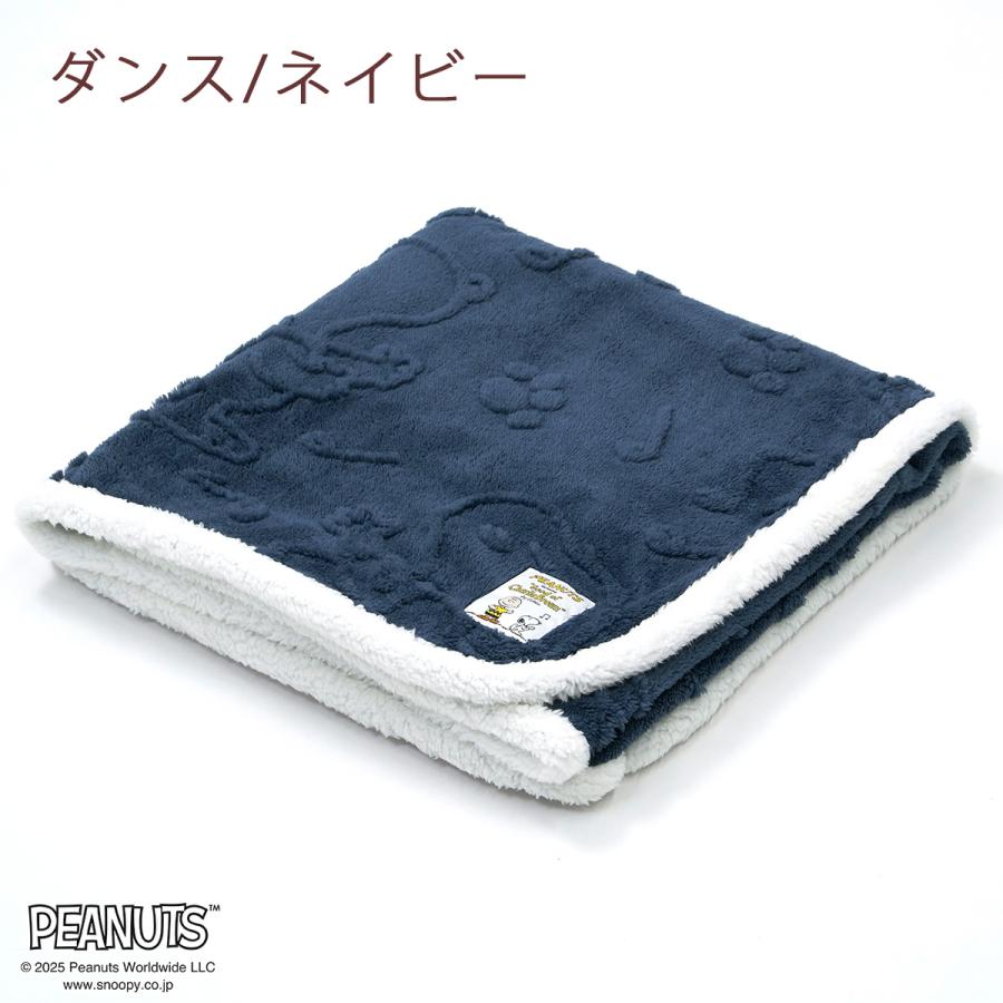 西川（nishikawa） 爆買 毛布 ハーフ お昼寝 140×100cm 軽量 ハーフ