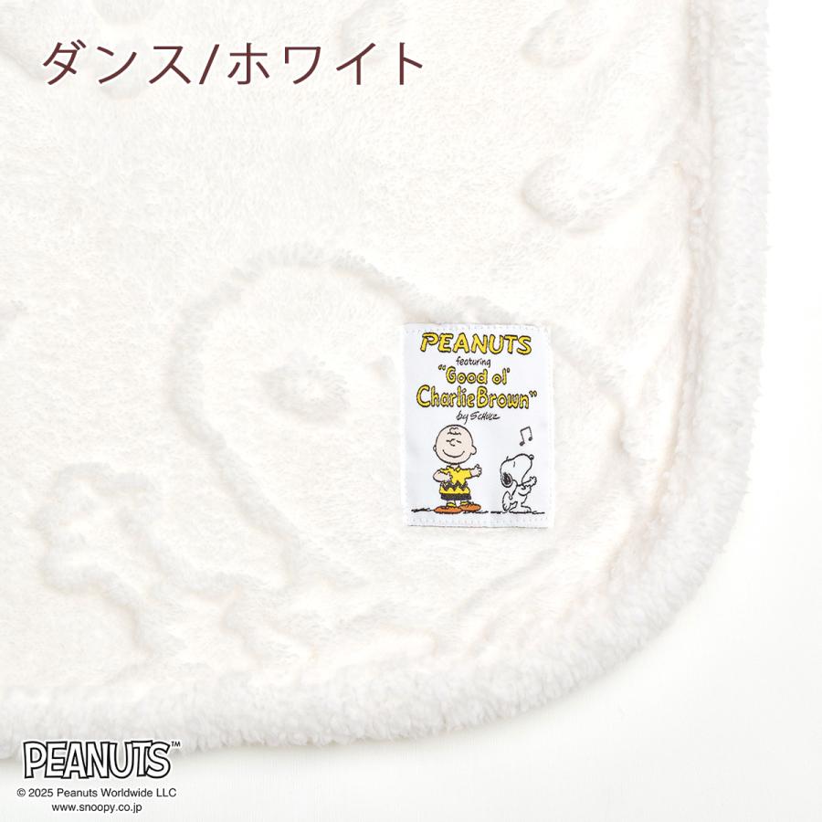 西川（nishikawa） 毛布 ハーフ お昼寝 140×100cm 軽量 ハーフケット