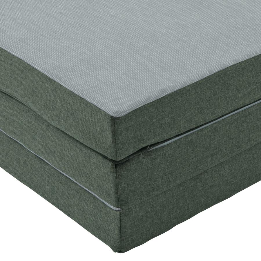 ポイント10倍 選べる2点特典付 敷き布団 セミダブル ロマンスエコー JBAヘルスケア認定寝具 ロマンス小杉 ウレタン敷きふとん 三つ折れ かため 日本製 | ロマンス小杉 | 06