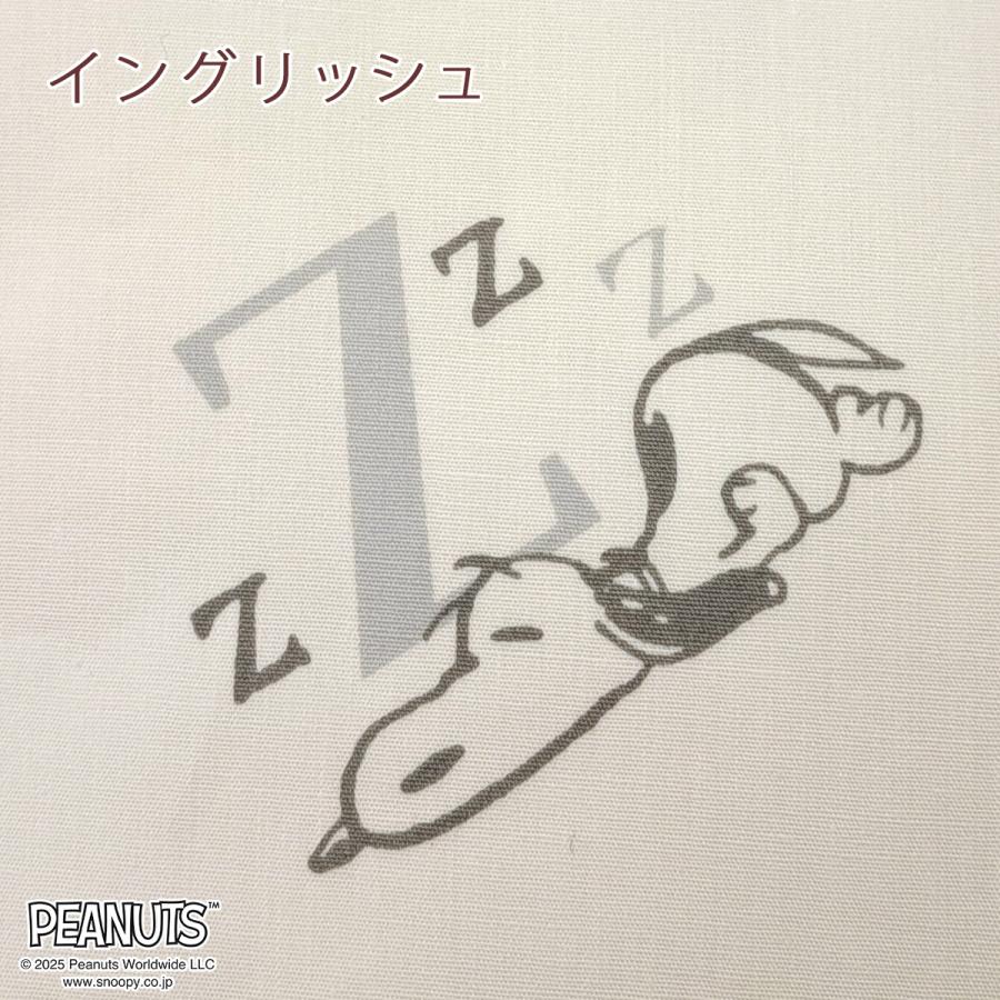 スリーパー キッズ ベビー 子ども 子供用 ジュニア かいまき 夜着 羽毛 ダウン スリーパー ロング 着丈100cm 冬 日本製 スヌーピー 寝冷え防止 あったか | 西川 | 04