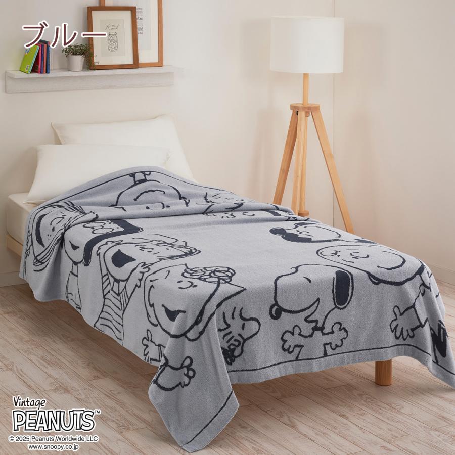 西川（nishikawa） 爆買 スヌーピー タオルケット シングル 夏用 日本