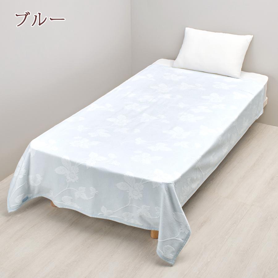 綿毛布 シングル 日本製 西川 ウェッジウッド 綿100% 毛布 ワイルドストロベリー 送料無料 ウエッジウッド ブランケット コットン 春 秋 冬 洗える_2