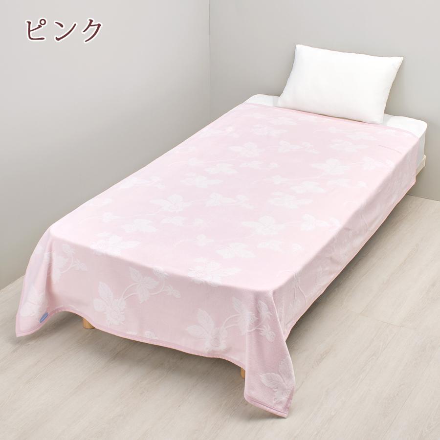 綿毛布 シングル 日本製 西川 ウェッジウッド 綿100% 毛布 ワイルドストロベリー 送料無料 ウエッジウッド ブランケット コットン 春 秋 冬 洗える_3