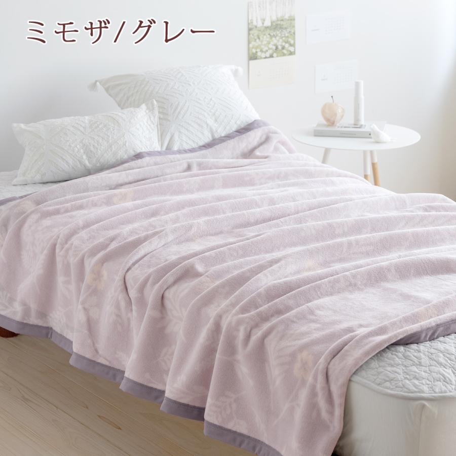 西川（nishikawa） 毛布 綿毛布 シングル 2枚セット 日本製 