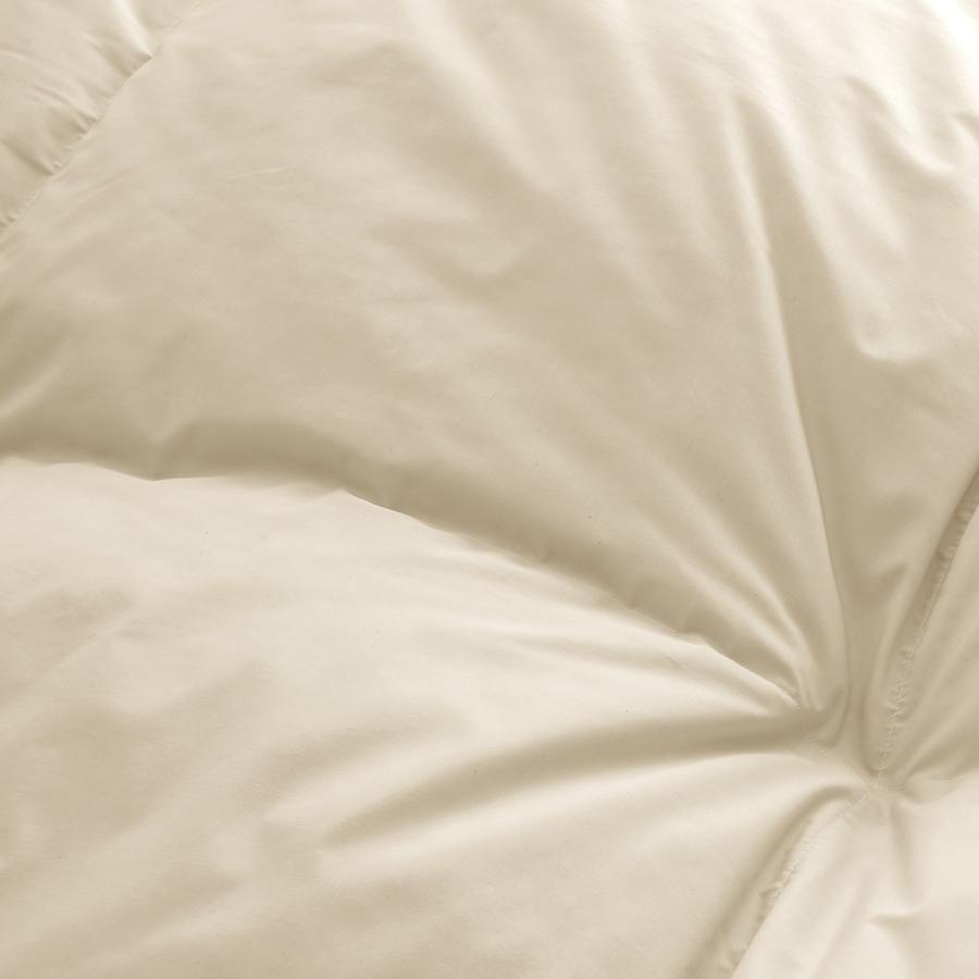 羽毛布団 クィーン ロマンス小杉 2枚合わせ 1年中 ポーランド産ホワイトグースダウン90% 増量1.2+0.7kg | ロマンス小杉 | 03