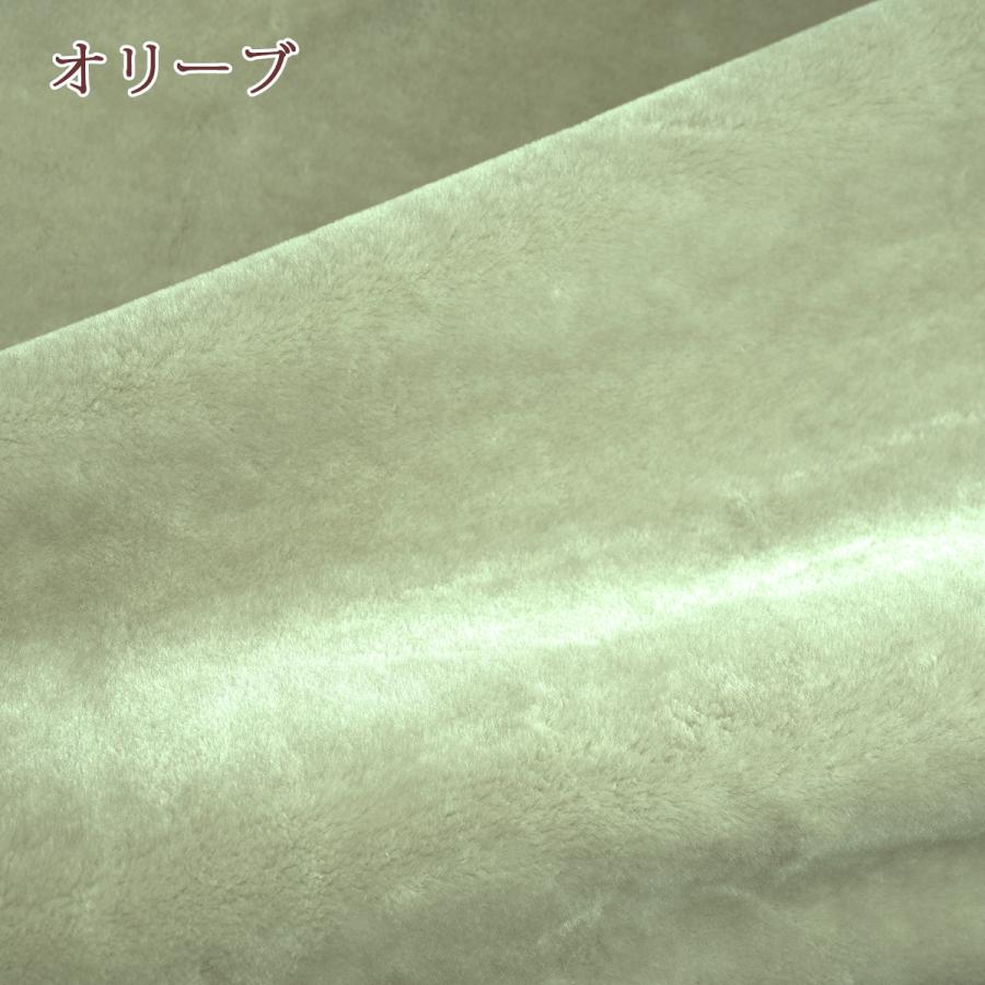 西川（nishikawa） ひざかけ毛布 100×60cm 日本製 東京西川 西川産業