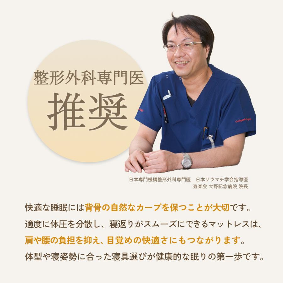 敷布団 マットレス シングル 三つ折り 高反発 西川 シーツ等特典付 体圧分散 BISEI TECH 敷き 9×97×195cm 硬め | 西川 | 02