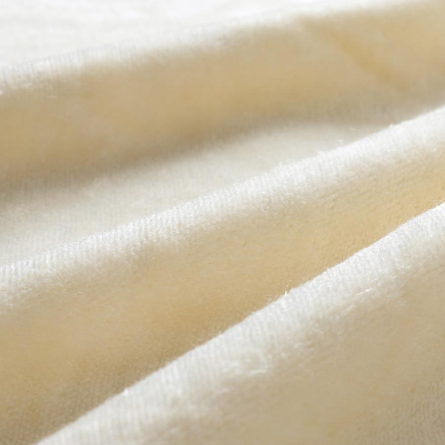 西川（nishikawa） 爆買 シルク毛布 シングル 日本製 東京西川 毛羽