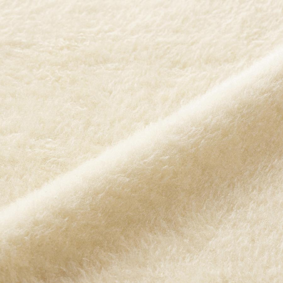 西川（nishikawa） シルク毛布 シングル 日本製 東京西川 毛羽部分