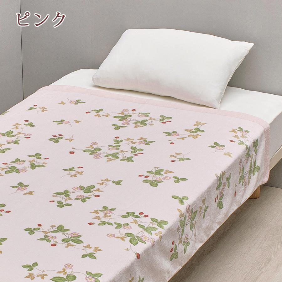 タオルケット シングル 西川 綿100% WEDGWOOD 今治産 ウェッジウッド ウエッジウッド ワイルドストロベリー 日本製 | 西川 | 04