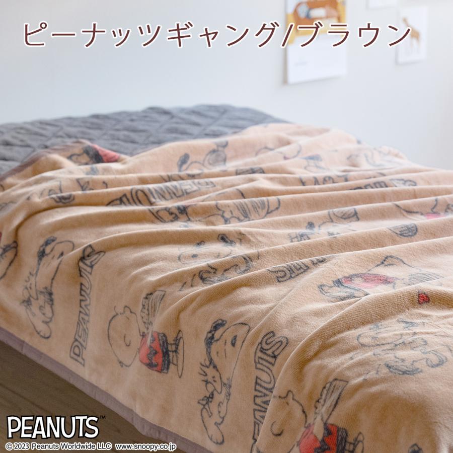 西川（nishikawa） 爆買 スヌーピー 綿毛布 シングル 日本製 毛羽部分
