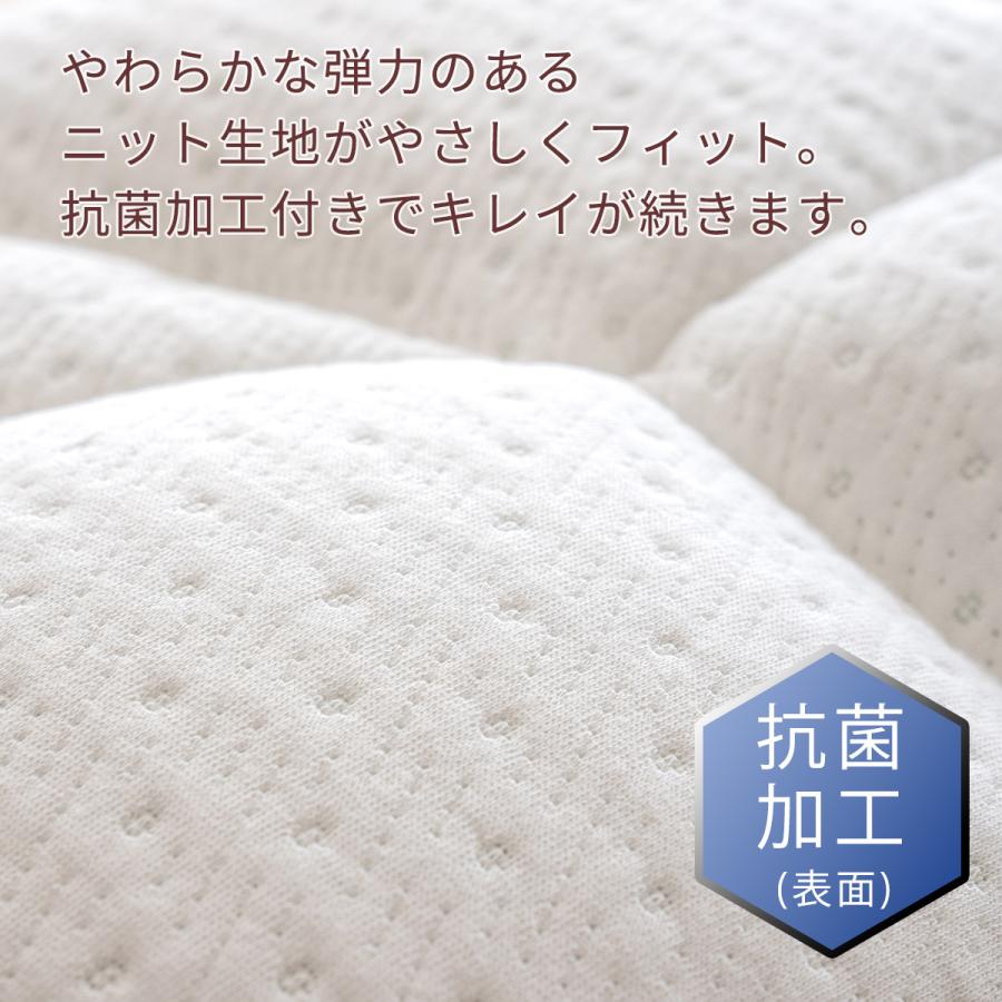 枕 43×63cm 西川 肩こり 首こり 横向き寝 整形外科医推奨 パイプ 高さ調節 高め 低め ウォッシャブル まくら 洗える ビセイ BISEI | 西川 | 02