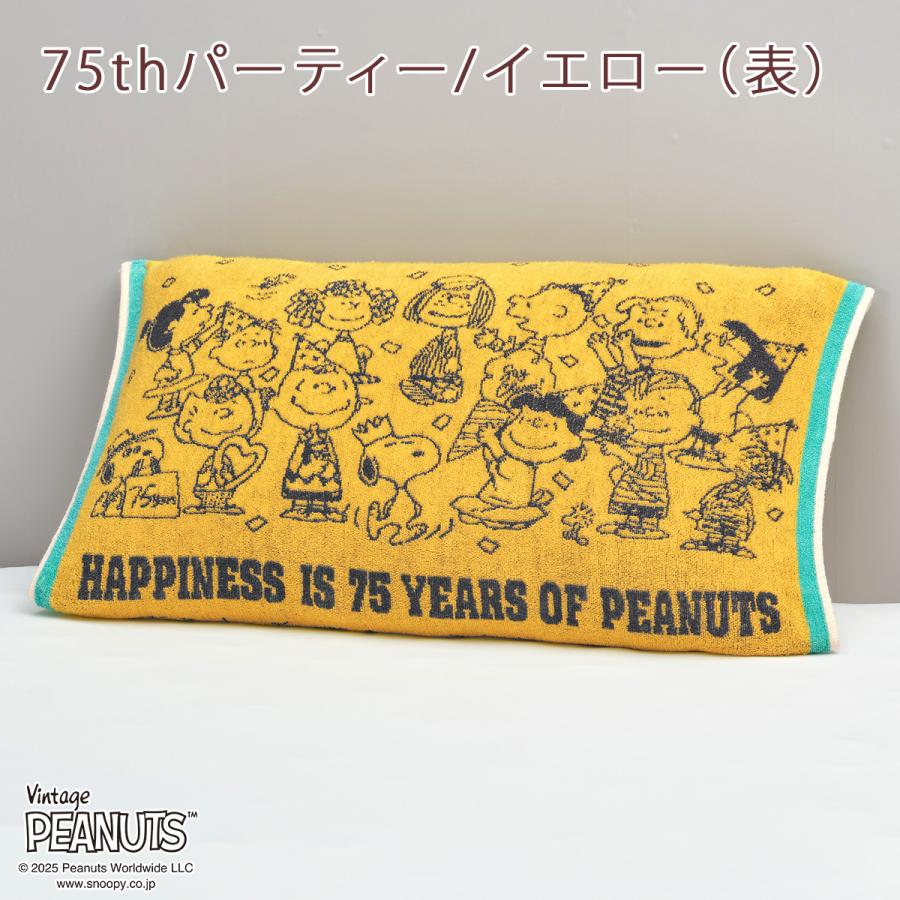 枕カバー 西川 抗菌 パイル のびのびタオル ピロケース 西川リビング スヌーピー snoopy いろんなサイズの枕にフィット ピローケース | 西川 | 03
