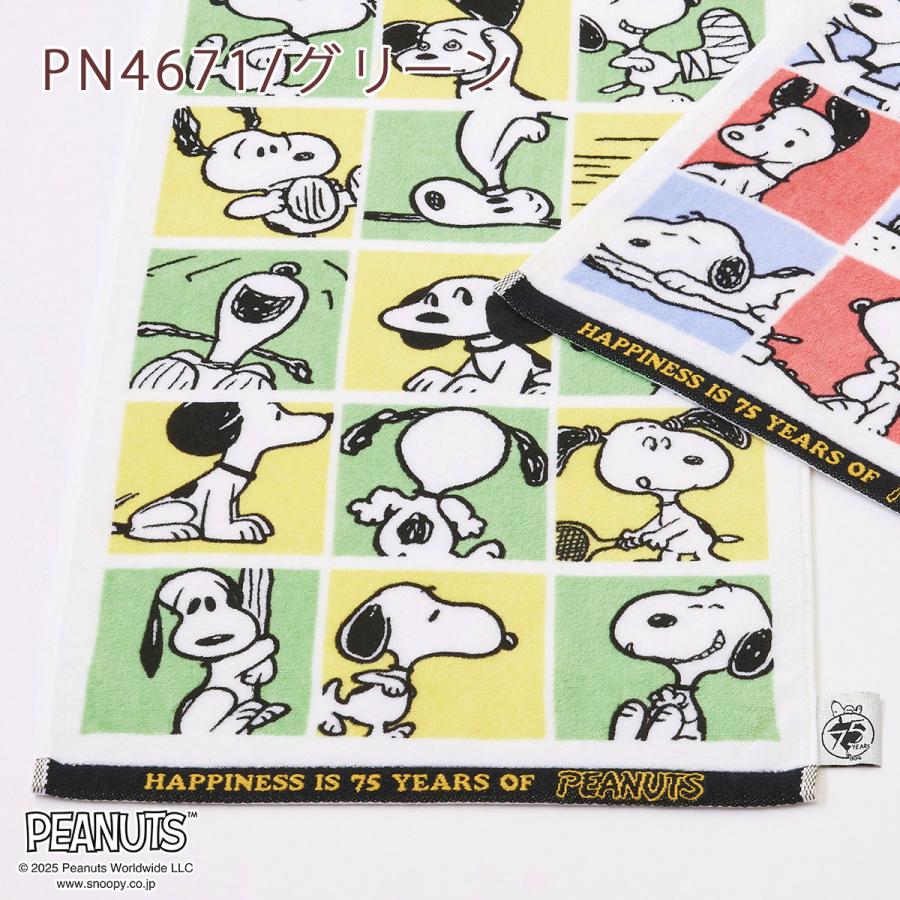 スヌーピー SNOOPY フェイスタオル 西川 西川リビング 日本製 綿100％ キャラクター タオル 34×80 snoopy かわいい | 西川 | 08