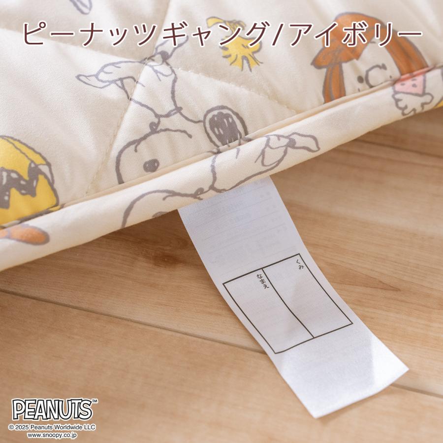 お昼寝マット 子供 敷き布団 保育園 幼稚園のお昼寝に お昼寝敷き布団 西川 東京西川 西川 合繊お昼寝敷布団 70×120cm キャラクター | 西川 | 05