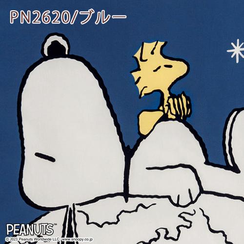 西川 ベビー布団 セット 日本製 組布団 布団セット snoopy スヌーピー ベビー組布団 6点セット 綿100％カバー | 西川 | 11
