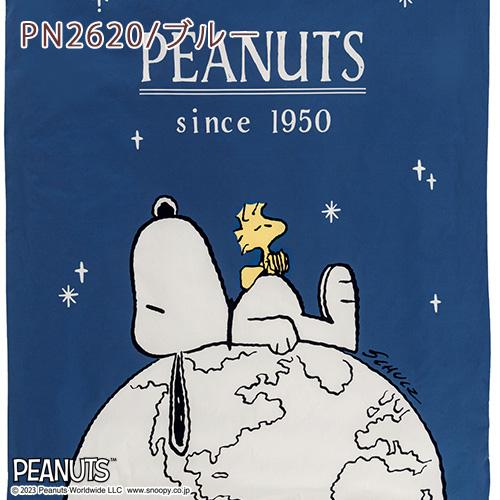 西川 ベビー布団 セット 日本製 組布団 布団セット snoopy スヌーピー ベビー組布団 6点セット 綿100％カバー | 西川 | 12