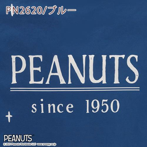 西川 ベビー布団 セット 日本製 組布団 布団セット snoopy スヌーピー ベビー組布団 6点セット 綿100％カバー | 西川 | 13