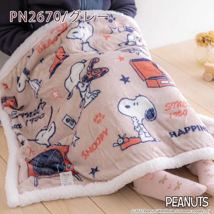 西川（nishikawa） ひざかけ毛布 お昼寝 ひざ掛け毛布 ひざかけ