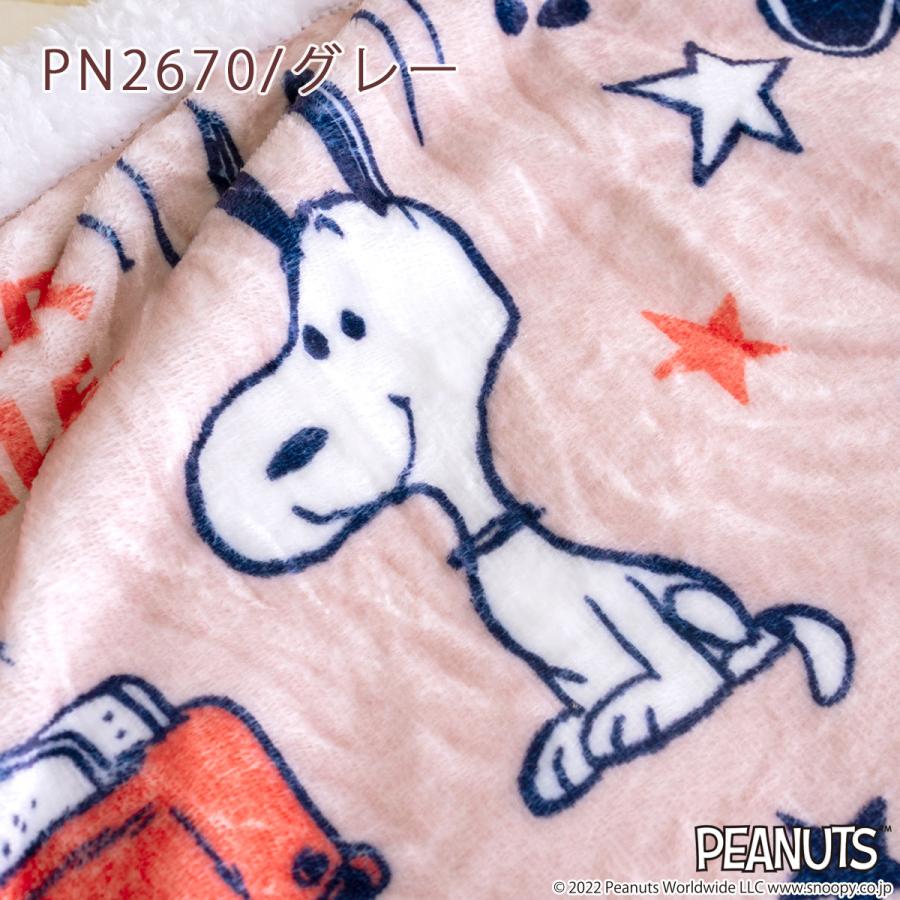 西川（nishikawa） ひざかけ毛布 お昼寝 ひざ掛け毛布 ひざかけ