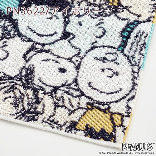 西川（nishikawa） ミニタオル 25×25cm 2枚セット スヌーピー snoopy