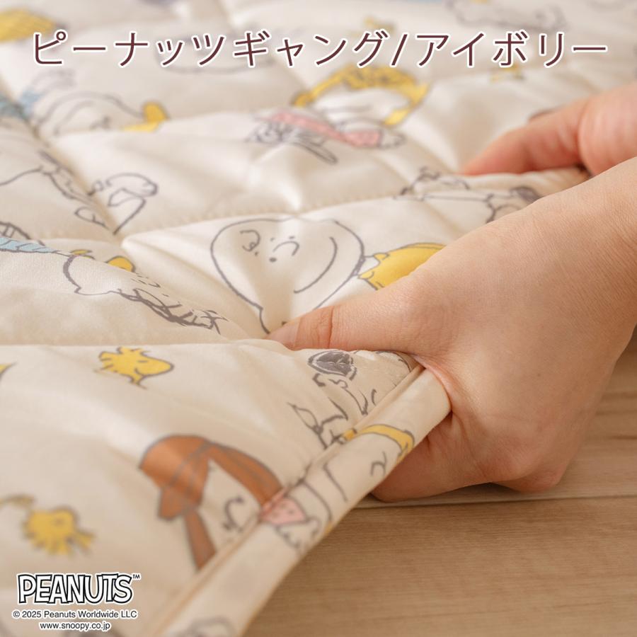 お昼寝マット 子供 敷き布団 保育園 幼稚園のお昼寝に お昼寝敷き布団 西川 東京西川 西川 合繊お昼寝敷布団 70×120cm キャラクター 送料無料 | 西川 | 02