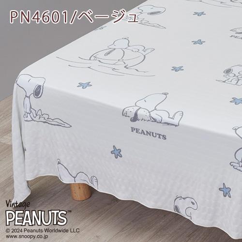 スヌーピー クールケット シングル 西川 ひんやり 冷感 洗える 夏 肌掛け かわいい ジュニア SNOOPY キャラクター シングルサイズ | 西川 | 14