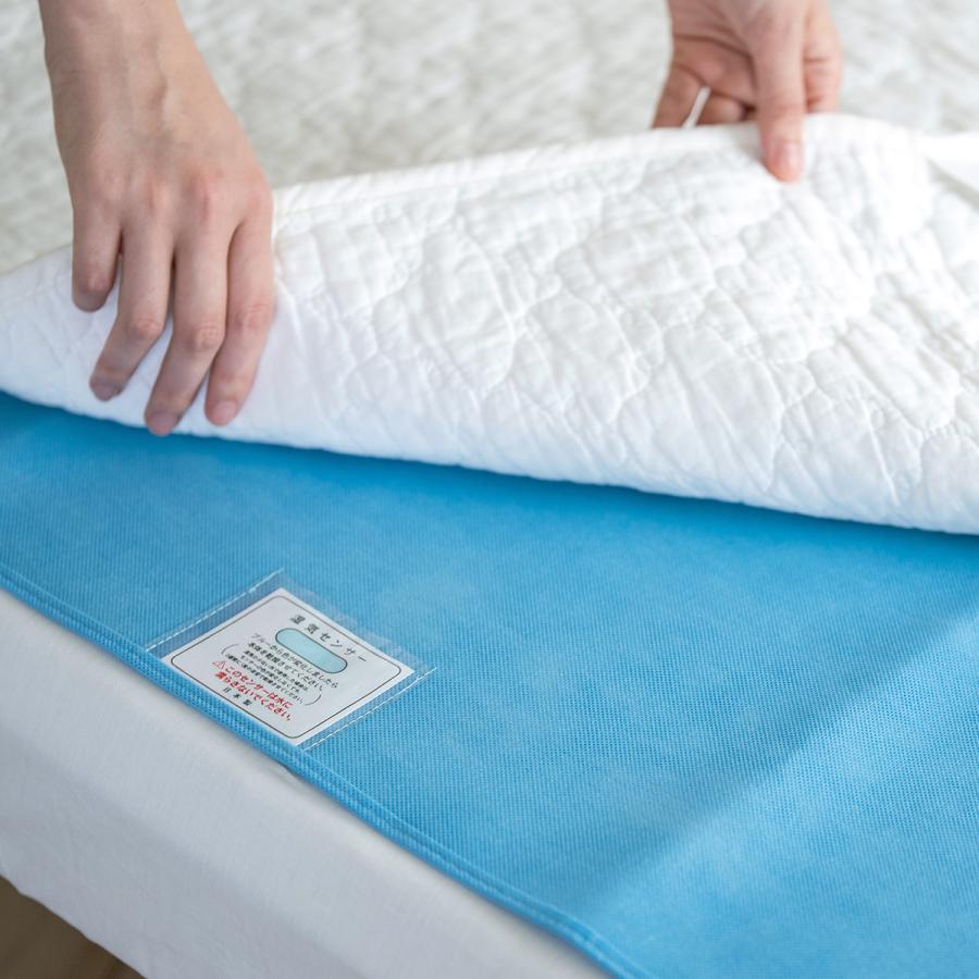 除湿シート2点セット シングル 西川 除湿マット 湿気取り 消臭 防カビ 防ダニ 結露防止 敷き布団の下に | 西川 | 01