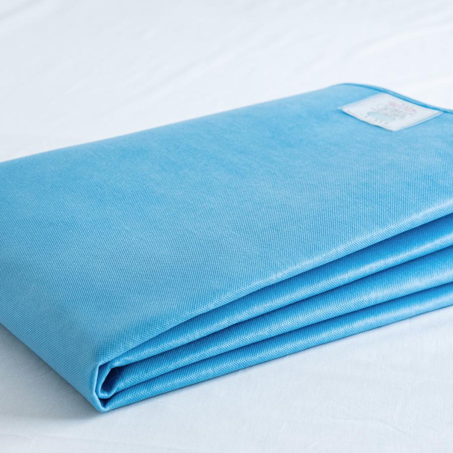 除湿シート2点セット シングル 西川 除湿マット 湿気取り 消臭 防カビ 防ダニ 結露防止 敷き布団の下に | 西川 | 06