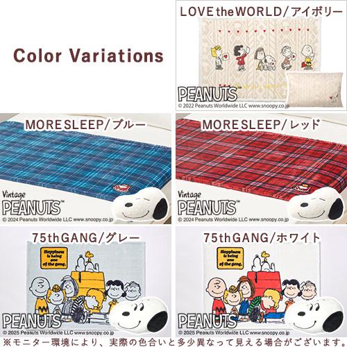 西川（nishikawa） クッションインブランケットひざ掛け 膝掛け