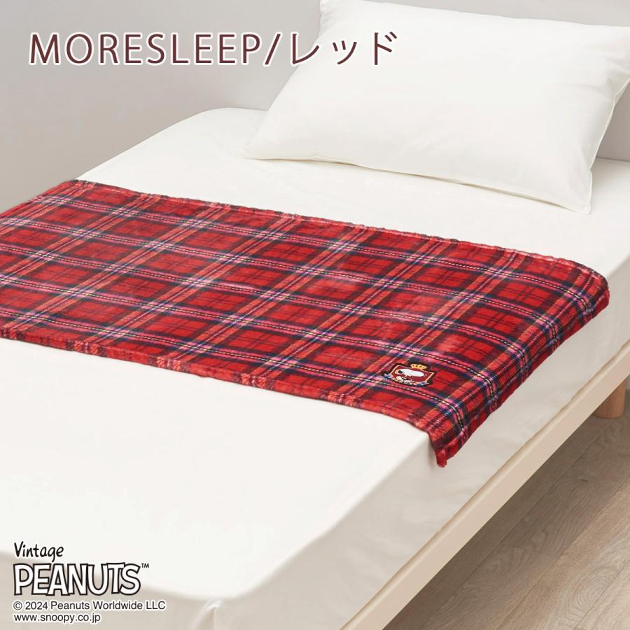 西川（nishikawa） クッションインブランケットひざ掛け 膝掛け