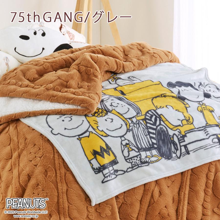 西川（nishikawa） クッションインブランケットひざ掛け 膝掛け