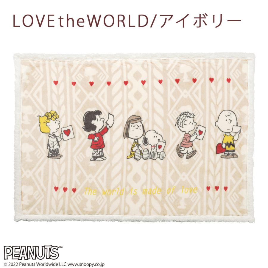 西川（nishikawa） クッションインブランケットひざ掛け 膝掛け