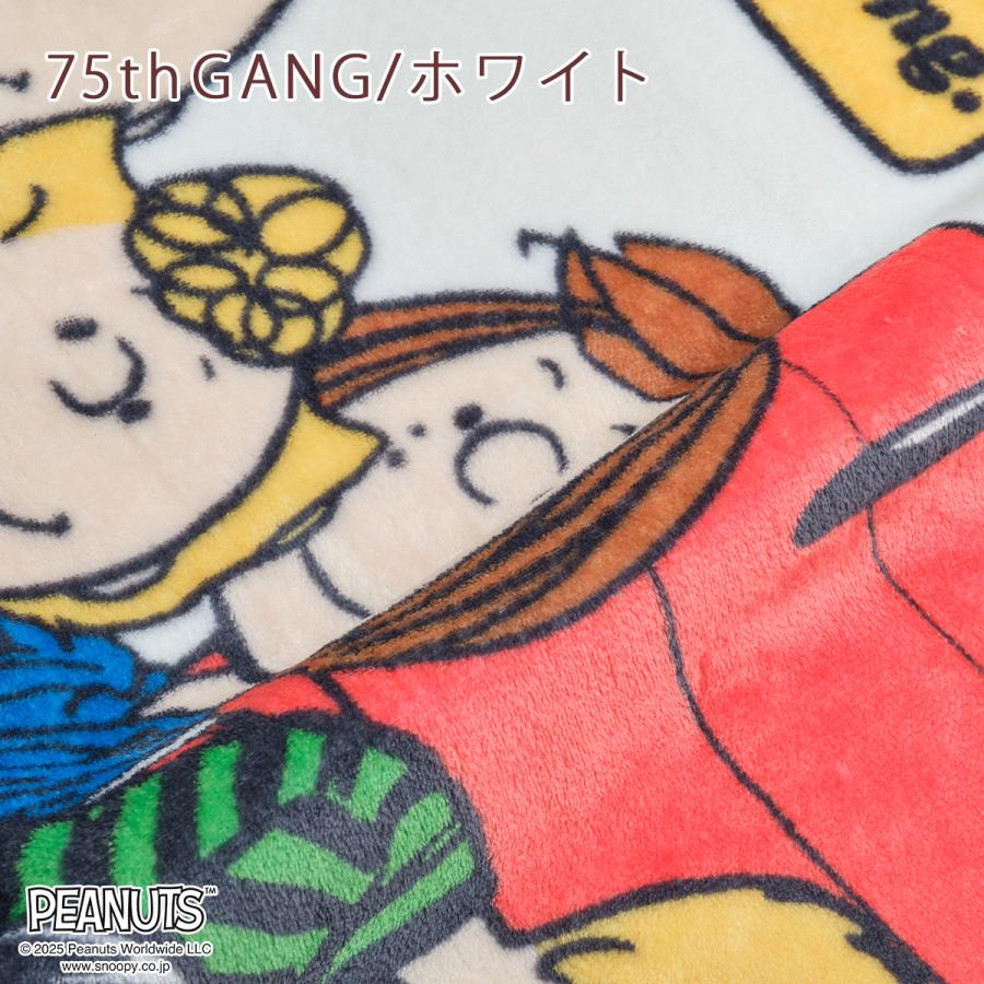 西川（nishikawa） クッションインブランケットひざ掛け 膝掛け