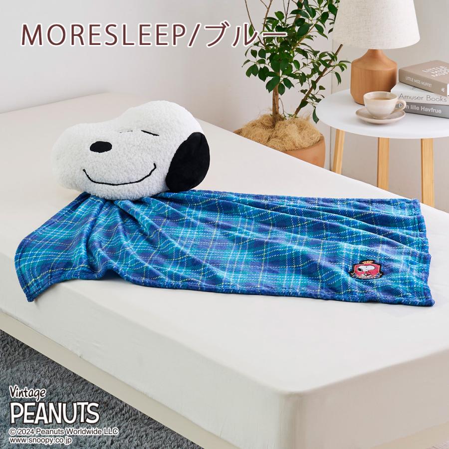 西川（nishikawa） クッションインブランケットひざ掛け 膝掛け